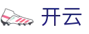 开云线上体育平台-全球赛事娱乐综合投注